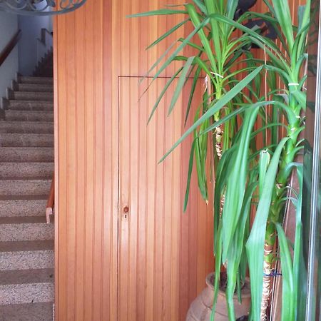 Biblioteca Municipal Apartment Zamora Exterior photo